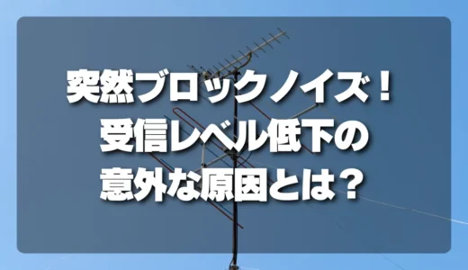 【突然】テレビにブロックノイズが発生！考えられる「受信レベル低下」の意外な原因とは？